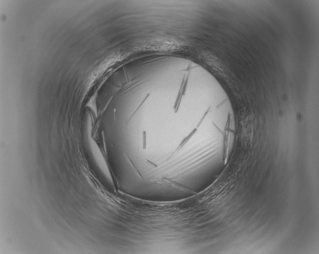 X0000055520679200509091408