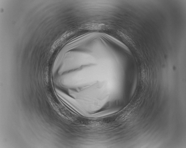 X0000055520682200509091408