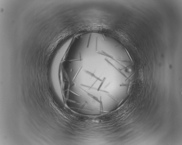 X0000055520687200509091408