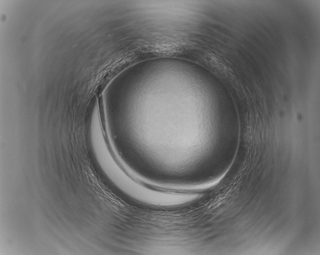 X0000055520689200509091408