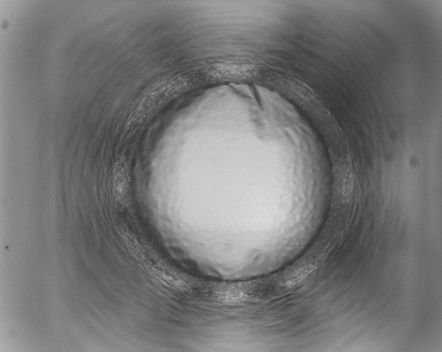 X0000055520701200509091407