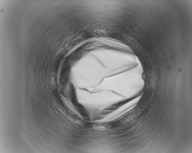 X0000055520706200509091407