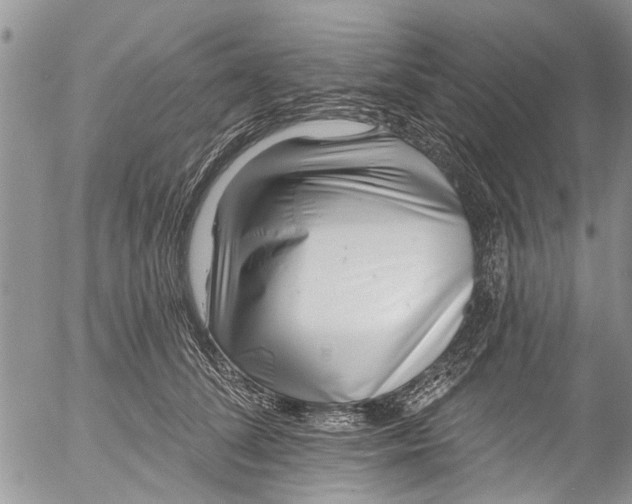 X0000055520708200509091407