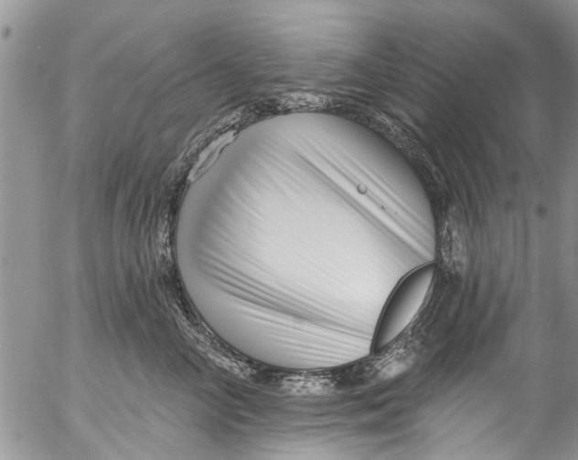 X0000055520714200509091407