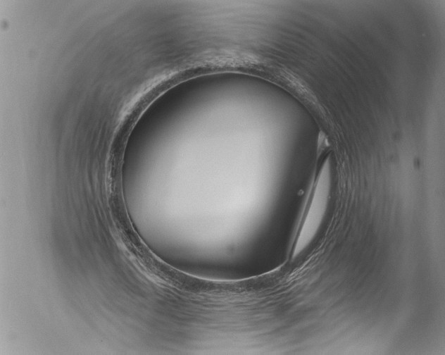 X0000055520722200509091406