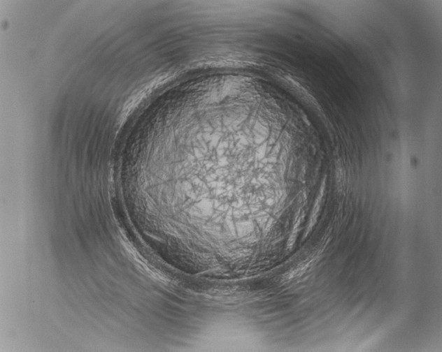 X0000055520725200509091406