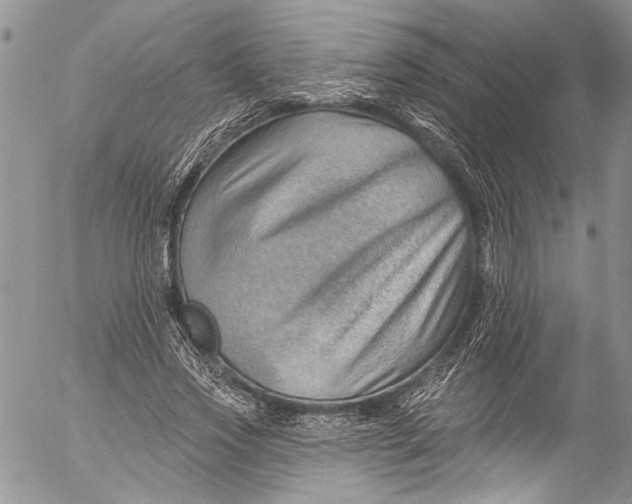X0000055520733200509091406