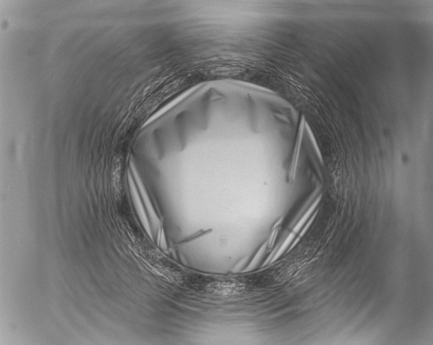 X0000055520745200509091407