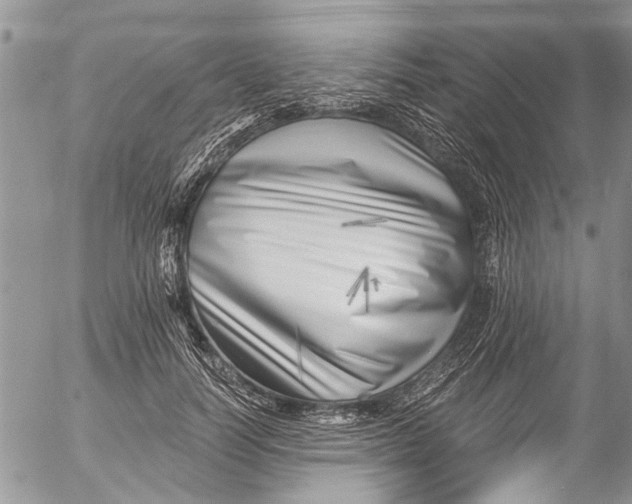 X0000055520746200509091407