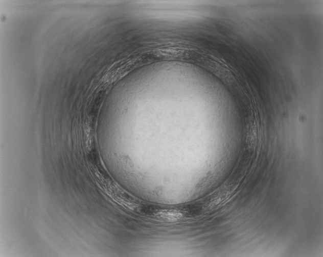 X0000055520749200509091407