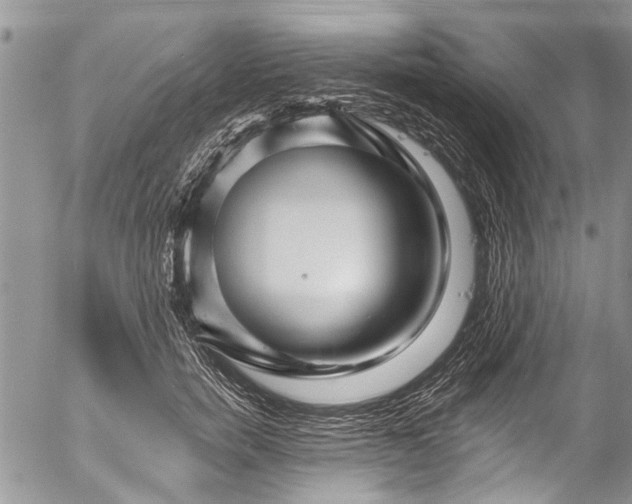 X0000055520750200509091407