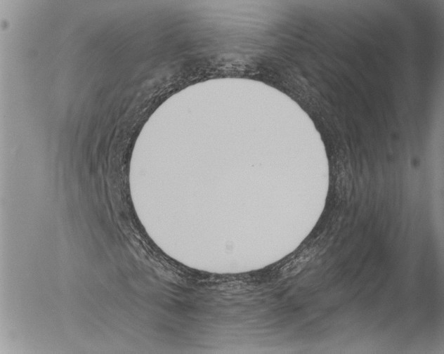 X0000055520769200509091406