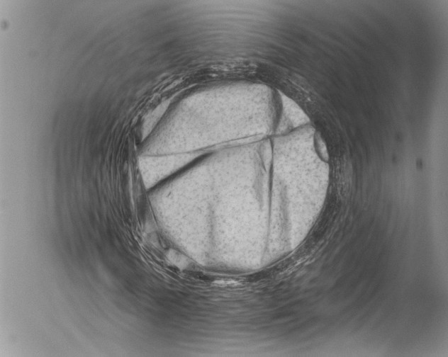 X0000055520770200509091406