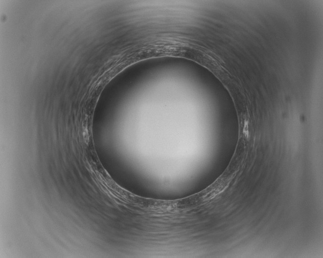 X0000055520771200509091406
