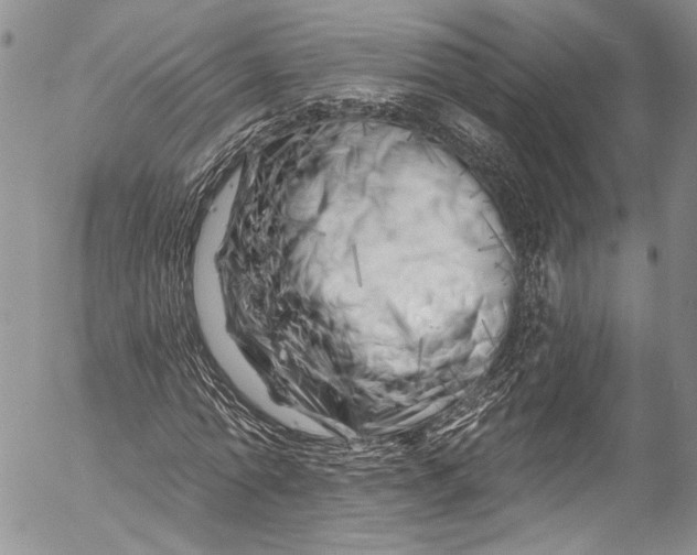X0000055520774200509091406