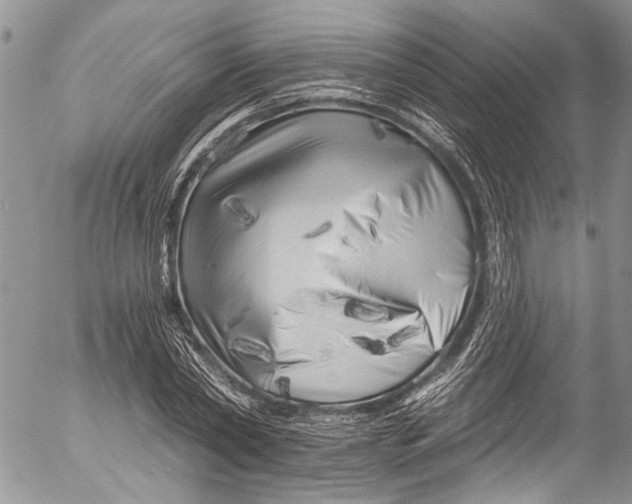 X0000055520782200509091406