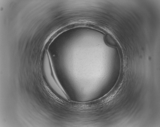 X0000055520783200509091406