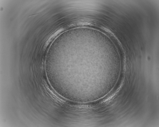 X0000055520785200509091406