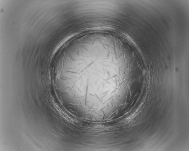 X0000055520787200509091406