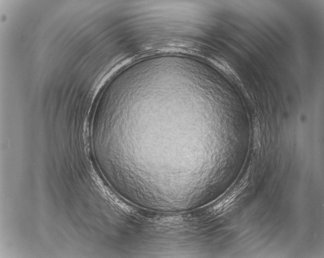 X0000055520798200509091406