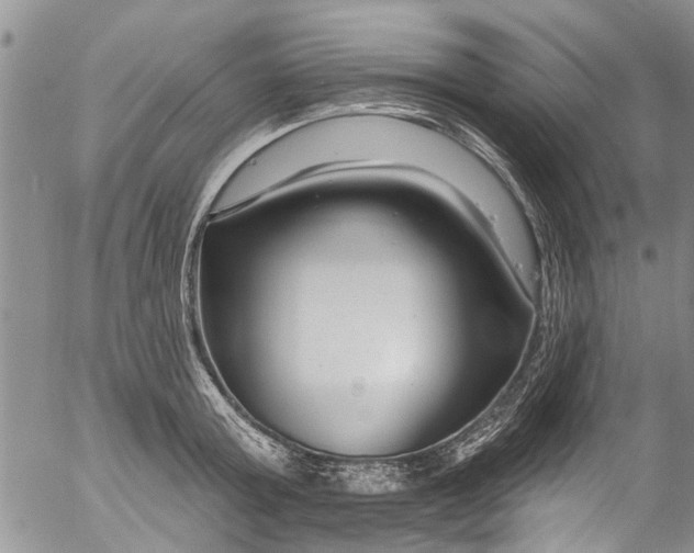 X0000055520803200509091406