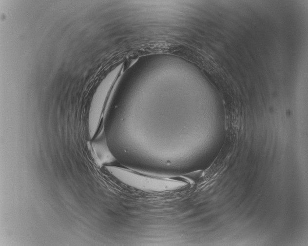 X0000055520818200509091405