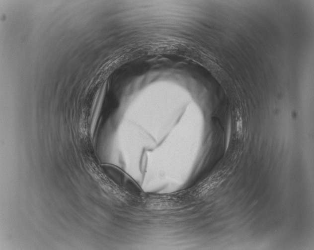 X0000055520819200509091405