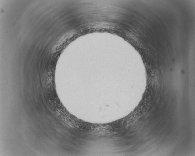 X0000055520824200509091405