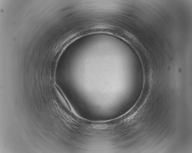 X0000055520825200509091405