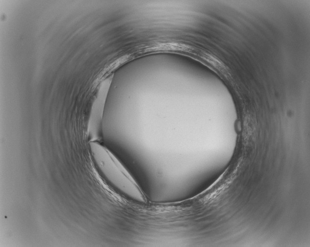 X0000055520849200509091405