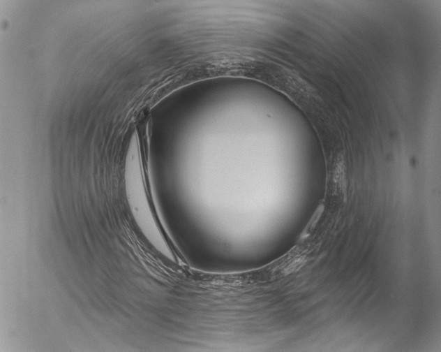X0000055520868200509091405