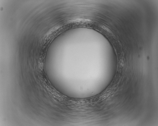 X0000055520869200509091405