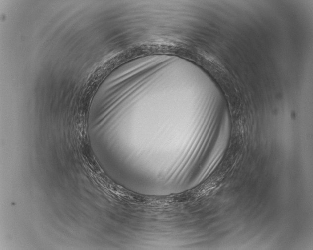 X0000055520870200509091405