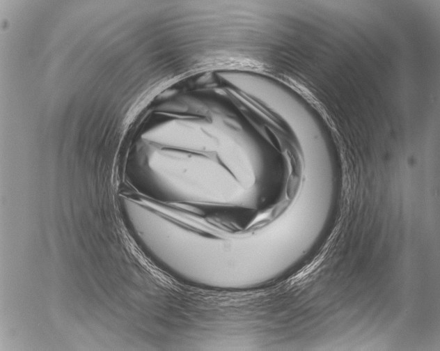 X0000055520885200509091404