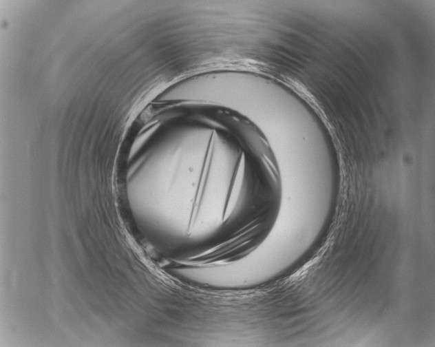 X0000055520893200509091404