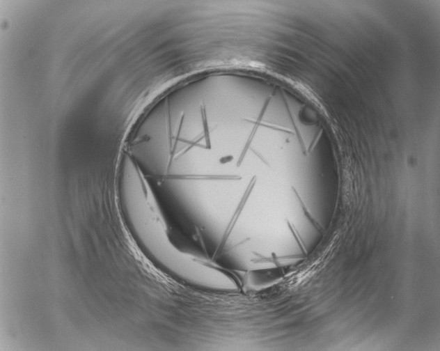 X0000055520895200509091404