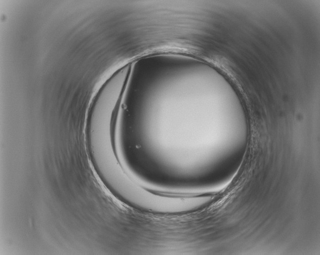 X0000055520902200509091404
