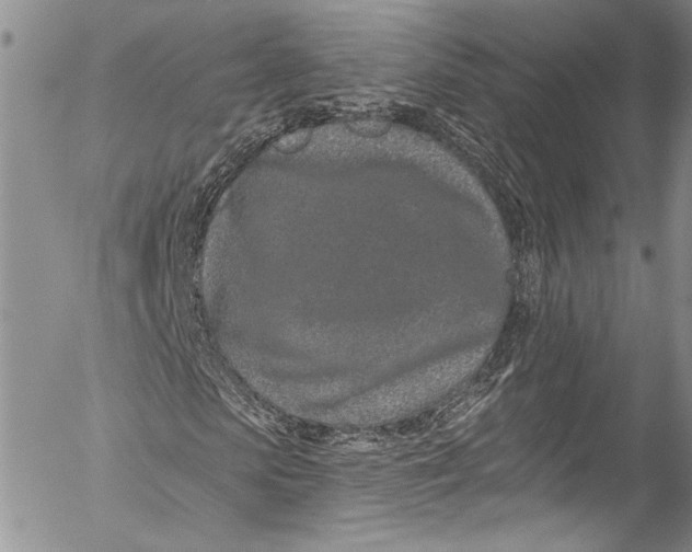 X0000055520913200509091403