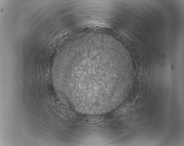 X0000055520917200509091403