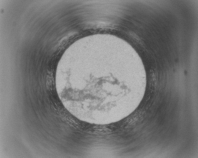 X0000055520918200509091403