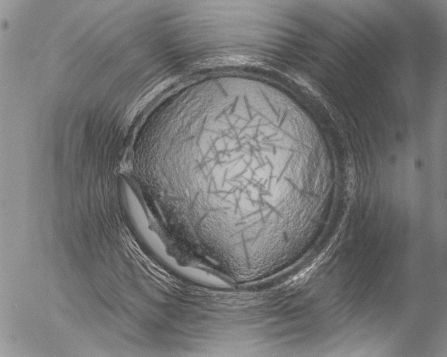 X0000055520921200509091403