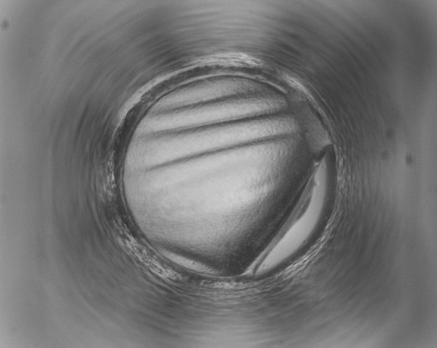 X0000055520923200509091403