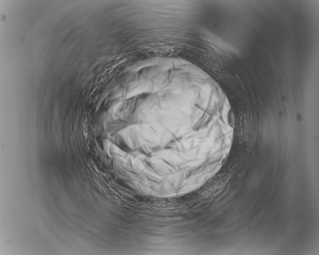 X0000055520962200509091403