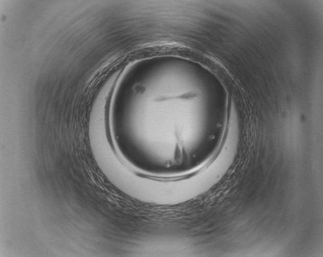 X0000055520967200509091403