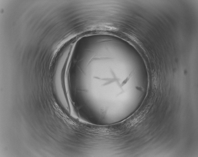 X0000055520971200509091403