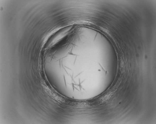 X0000055520979200509091403