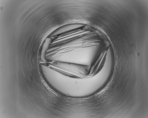 X0000055520981200509091403