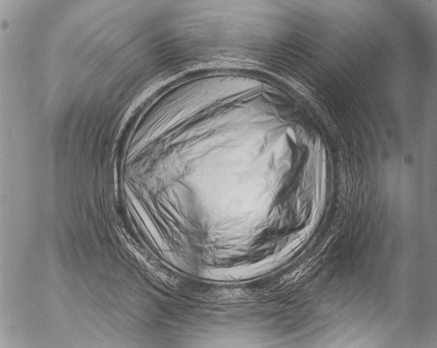 X0000055520982200509091403