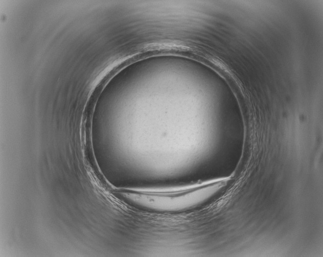 X0000055520983200509091403