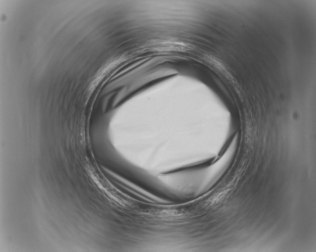 X0000055520986200509091403